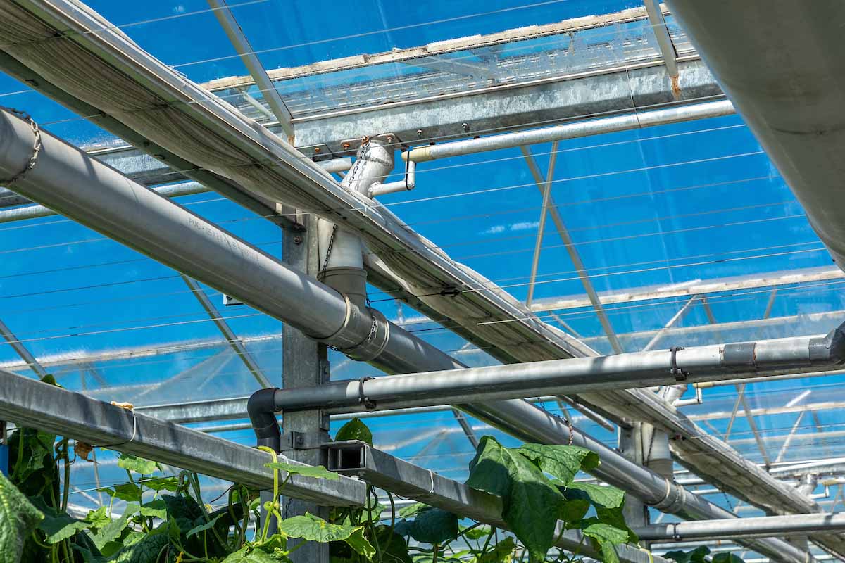 How to use air movement to create the optimal greenhouse environment 