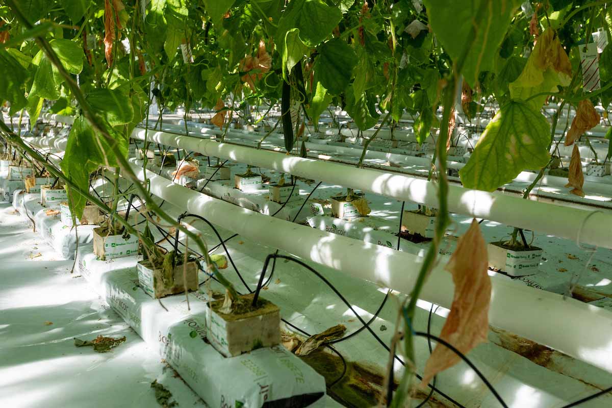 How to improve irrigation energy efficiency  