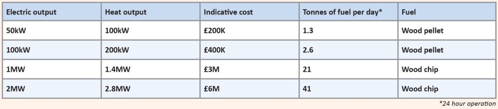 Table showing the outputs and costs of gasification for wood pellets and wood chips