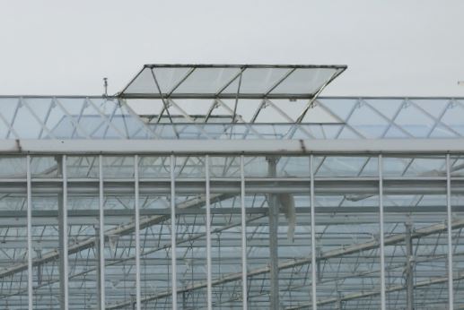 Greenhouse