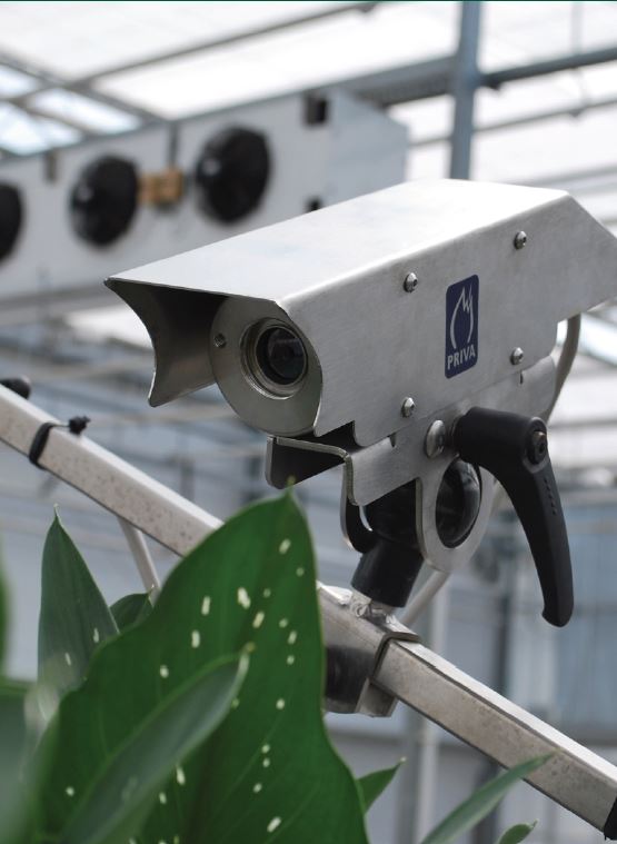 Temperature sensor in a glasshouse