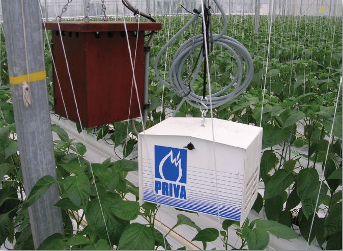 Where should you put a measuring box in a greenhouse?  