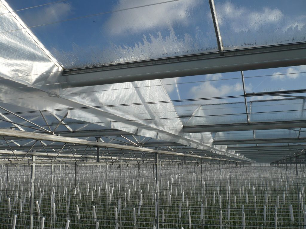 Greenhouse screens with apex seals