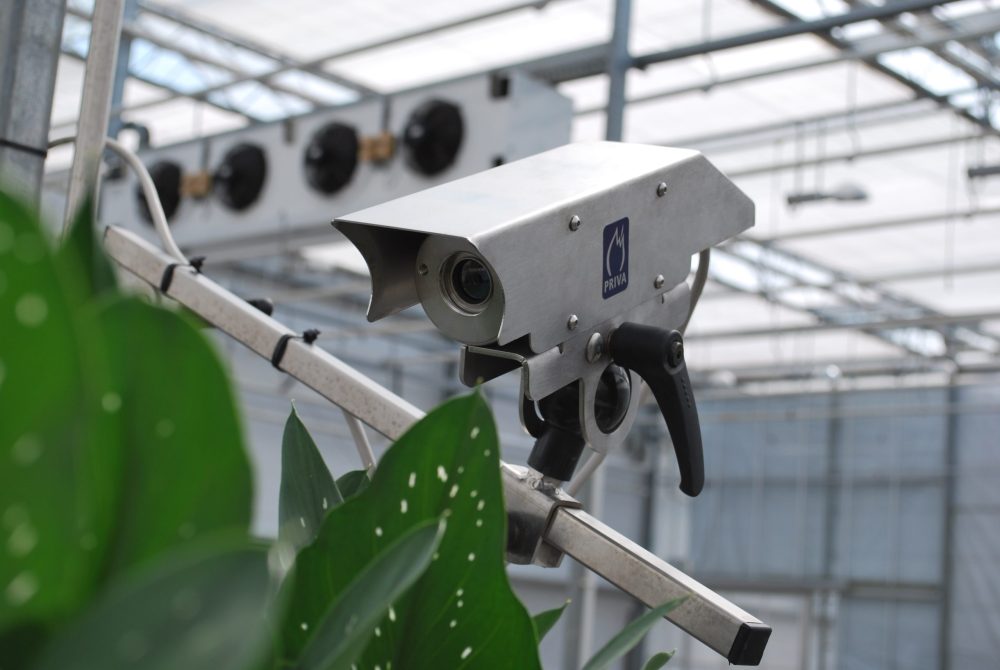 How to use data for glasshouse climate optimisation  