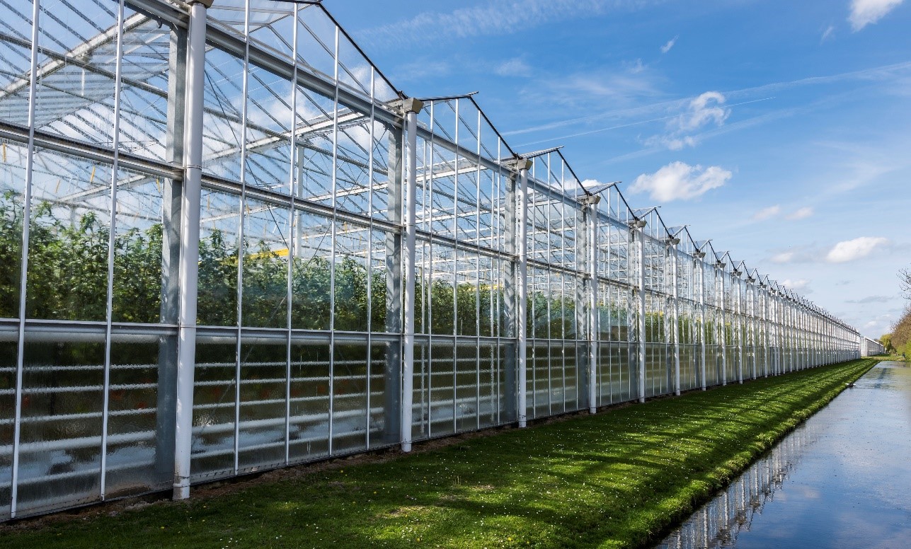 How retailers collaborating on decarbonisation could impact horticulture