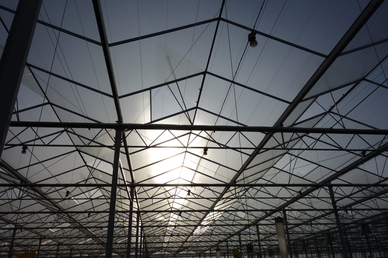 How to improve light transmission in glasshouses Growsave