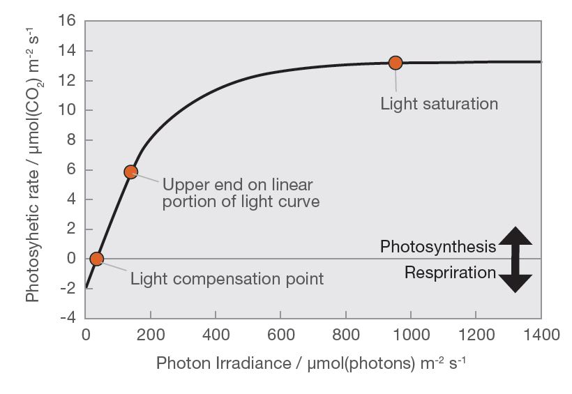 Idealised net photosynthetic light response curve of a single leaf