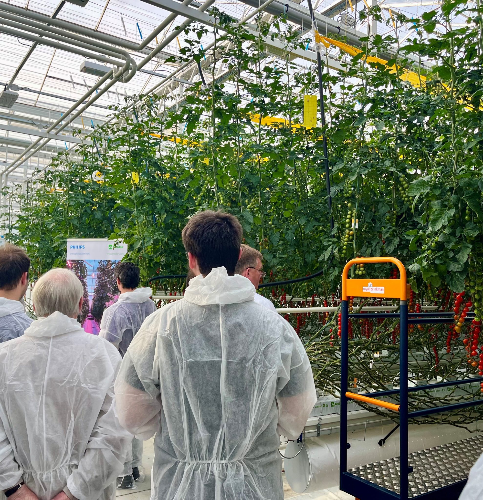 Exploring energy innovation in the Netherlands - Growsave