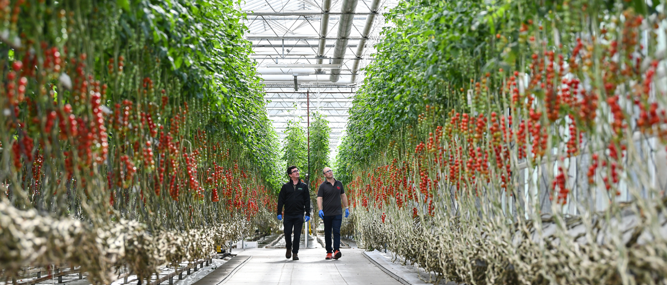 Boost your farming project with DEFRA’s new innovation grants