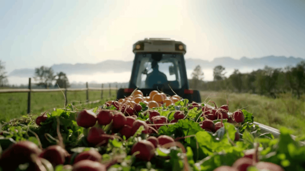 Funding Innovation for Growers: 2026 Schemes now live